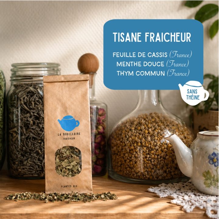 tisane-fraicheur-preparation-sans-theine-la-bouilloire